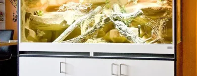 Unternehmen 2 Bild HOPPE-TERRARIENBAU-EXCLUSIV Zoohandlungen am Hilden NW