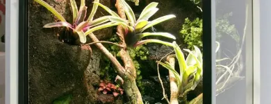 Unternehmen 4 Bild HOPPE-TERRARIENBAU-EXCLUSIV Zoohandlungen am Hilden NW