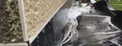 Unternehmen 1 Bild HOUSEWASH COMPANY Spezialbauunternehmen am Düsseldorf NW