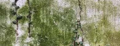 Unternehmen 6 Bild HOUSEWASH COMPANY Spezialbauunternehmen am Düsseldorf NW