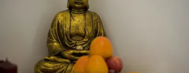 Unternehmen 1 Bild HQC MASSAGE CHINESISCHES GESUNDHEITSZENTRUM Massageinstitute am Köln NW
