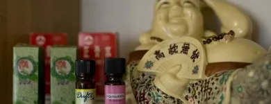 Unternehmen 3 Bild HQC MASSAGE CHINESISCHES GESUNDHEITSZENTRUM Massageinstitute am Köln NW