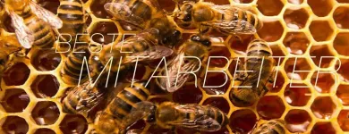 Unternehmen 1 Bild JOH. SCHLÖSSER GMBH Unternehmensberater, Organisationsberater am Köln NW