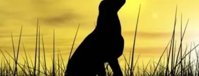 Unternehmen 1 Bild KÖBER GMBH Zoohandlungen am Bochum NW