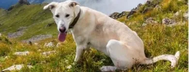 Unternehmen 3 Bild KÖBER GMBH Zoohandlungen am Bochum NW