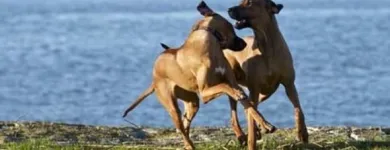 Unternehmen 2 Bild KÖBER GMBH Zoohandlungen am Bochum NW