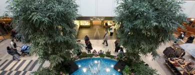 Unternehmen 35 Bild MEIN FOTOSTUDIO EKZ ESSEN GMBH & CO. KG Tv, Hi-Fi, Film, Foto, Dienstleistungen am Essen NW