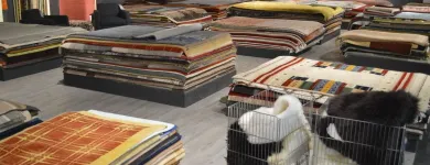 Unternehmen 26 Bild MÖBEL KNAPPSTEIN GMBH & CO. KG Produktion und Vertrieb von Möbel, Innenausstattung am Remscheid NW