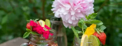 Unternehmen 15 Bild OHANA VIETHAWAIIAN POKE Restaurant & Café am Berlin BE