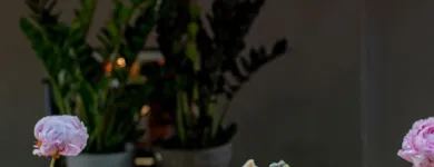 Unternehmen 18 Bild OHANA VIETHAWAIIAN POKE Restaurant & Café am Berlin BE