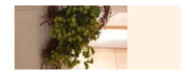 Unternehmen 12 Bild PRAXIS SOULCOCOONING, FRIEDERIKE ZIESMER, HEILPRAKTIKERIN Ärzte am Starnberg BY