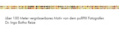 Unternehmen 7 Bild PULLPIX BILDAGENTUR FÜR XXL FORMATE Verleihunternehmen, Vermietungsunternehmen, Vermittlungsunternehmen am Köln NW