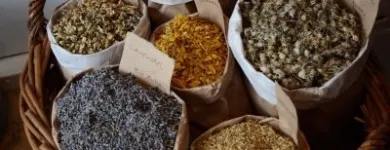 Unternehmen 7 Bild SAPORI & COLORI - AUS DER NATUR Teeladen am Hamburg HH