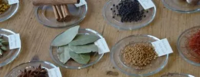 Unternehmen 12 Bild SAPORI & COLORI - AUS DER NATUR Teeladen am Hamburg HH