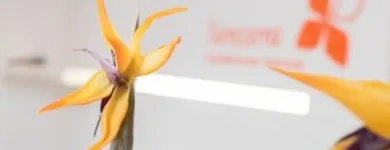 Unternehmen 6 Bild SENZERA GMBH BOCHUM-INNENSTADT Produktion und Vertrieb von Kosmetik, Körperpflegeartikel am Bochum NW