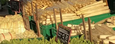 Unternehmen 5 Bild SOMNITZ-FRÜCHTE Supermärkte & Discounter am Stuttgart BW