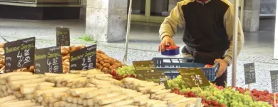 Unternehmen 7 Bild SOMNITZ-FRÜCHTE Supermärkte & Discounter am Stuttgart BW