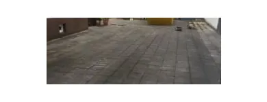 Unternehmen 1 Bild STEIN & NATUR Produktion und Vertrieb von Pflanzen am Karlsruhe BW