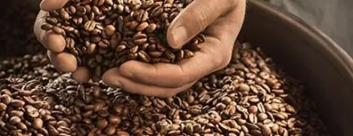 Unternehmen 3 Bild TCHIBO FILIALE Textil, Bekleidung Einzelhandel am Gelsenkirchen NW