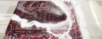 Unternehmen 10 Bild TEPPICHWÄSCHEREI UND KUNSTKNÜPFEREI WERNER HEYDUCK Teppichreinigung, Polstermöbelreinigung am Köln NW