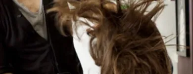 Unternehmen 11 Bild THEIBACH HAIRSTYLE KÖLN Produktion und Vertrieb von Kosmetik, Körperpflegeartikel am Köln NW