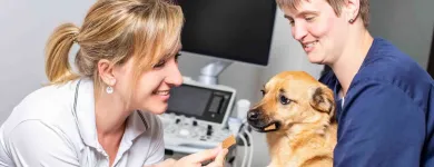 Unternehmen 4 Bild TIERARZTPRAXIS DÜSSELPFOTEN DR. HOELPER & DR. WUCHERT | TIERARZT DÜSSELDORF Ärzte am Düsseldorf NW