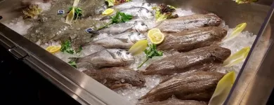 Unternehmen 87 Bild TRATTORIA ROMANA Restaurant & Café am Berlin BE