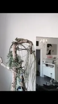 Unternehmen 18 Bild HAUS DER SCHÖNHEIT - JASMIN
