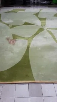 Unternehmen 13 Bild TEPPICHWÄSCHEREI UND KUNSTKNÜPFEREI WERNER HEYDUCK