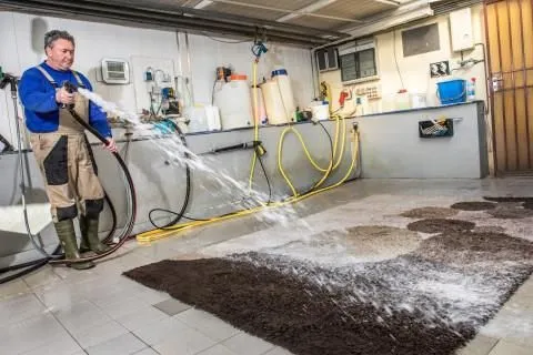 Unternehmen 15 Bild TEPPICHWÄSCHEREI UND KUNSTKNÜPFEREI WERNER HEYDUCK