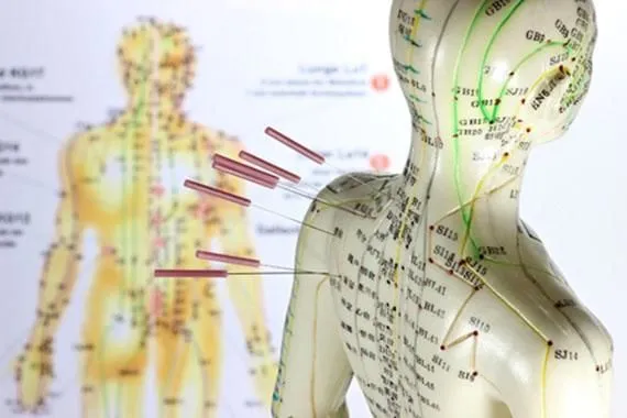 Unternehmen 5 Bild PHYSIOTHERAPIE & HEILPRAXIS HAUK