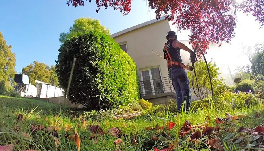 Unternehmen 25 Bild HOUSEWASH COMPANY