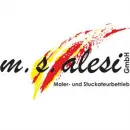 MSALESI GMBH Service & Dienstleistung am Stuttgart BW