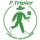 TRIPIER PETER
